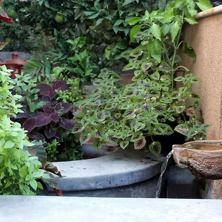 Philoxenia & מלון דירות