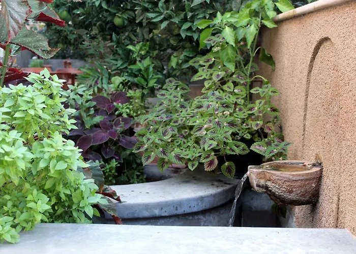 Philoxenia & Apart Otel